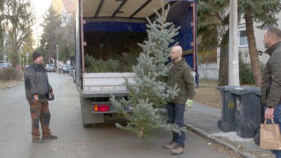 Negyven család kapott fenyőfát