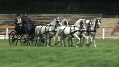 Bővül a lovas központ