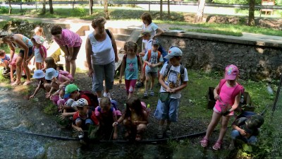 Rekord látogató a Bükki Nemzeti Parkban