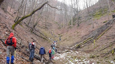 Transzbükki átkelés - 2016 a farkasok éve