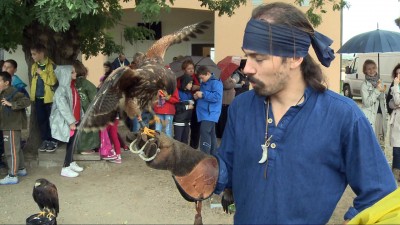 Több ezer látogató a vár napján