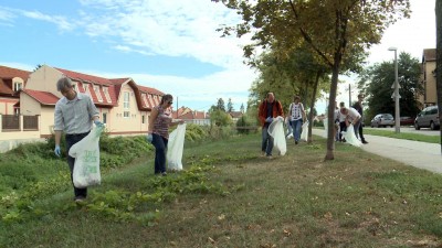 Önkéntesek takarítják lakókörnyezetünket