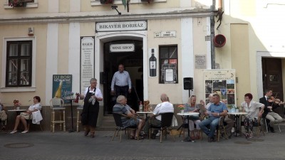 Jótékonysági borbemutató a Bikavér Borházban