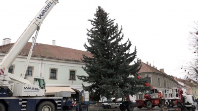 Már a Dobó téren áll a város karácsonyfája