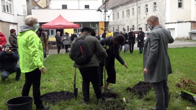 Fa őrzi emlékét a HEMO-ban eltöltött hónapoknak