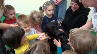 Az állatmenhelynek gyűjtöttek adományokat az óvodások