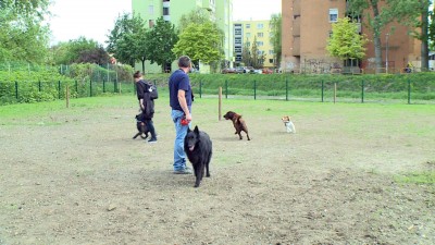 Átadták a város legújabb kutyafuttatóját