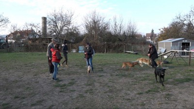 Megyénkben is egyre népszerűbb a KATA