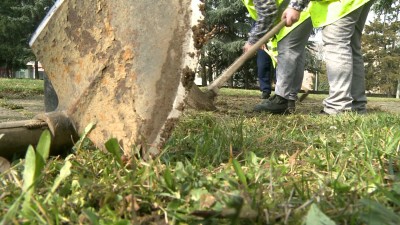 Rabok dolgoztak a szabadság ünnepe előtt