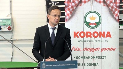 Kormányzati támogatást kap a Korona Borház