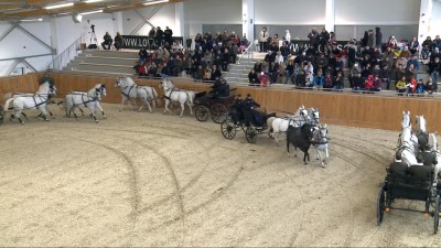 Új lovarda épült a megyében