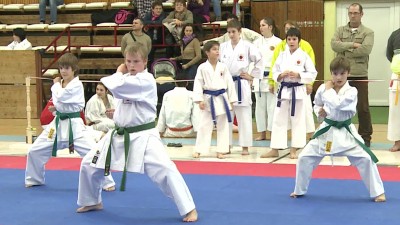 Shotokan karate OB