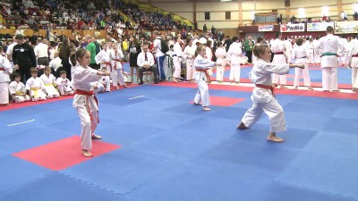 Shotokan karate Európa-bajnokság