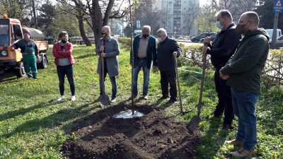 76 fát ültettek el városszerte a Föld Napján