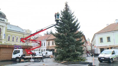 Újra áll a város karácsonyfája