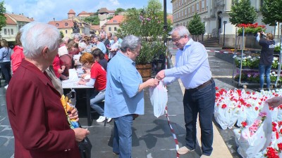 Muskátlit osztott az önkormányzat