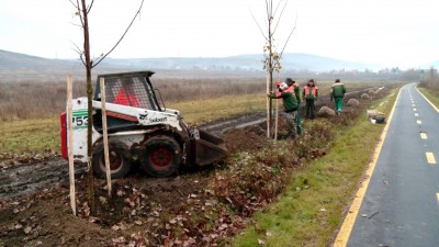 Több, mint száz facsemetét ültetnek Egerben