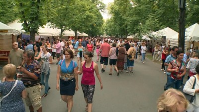 Ötvenezer látogató a Bikavér Ünnepen